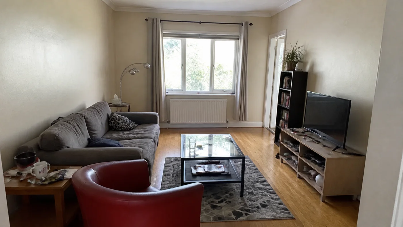 Before: Before and after room comparison showing six clearly readable furniture categories in a coordinated design